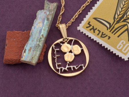 Israel Coin Jewelry, Israel Pendant Necklace, Hebrew Pendant, Hebrew Jewelry, Jewish Coin Jewelry, Israeli Jewelry, Judaic Jewelry, (#R 901)